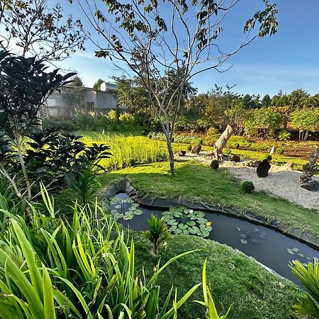 Dugiang Homestay Буон Ма Туот Екстериор снимка