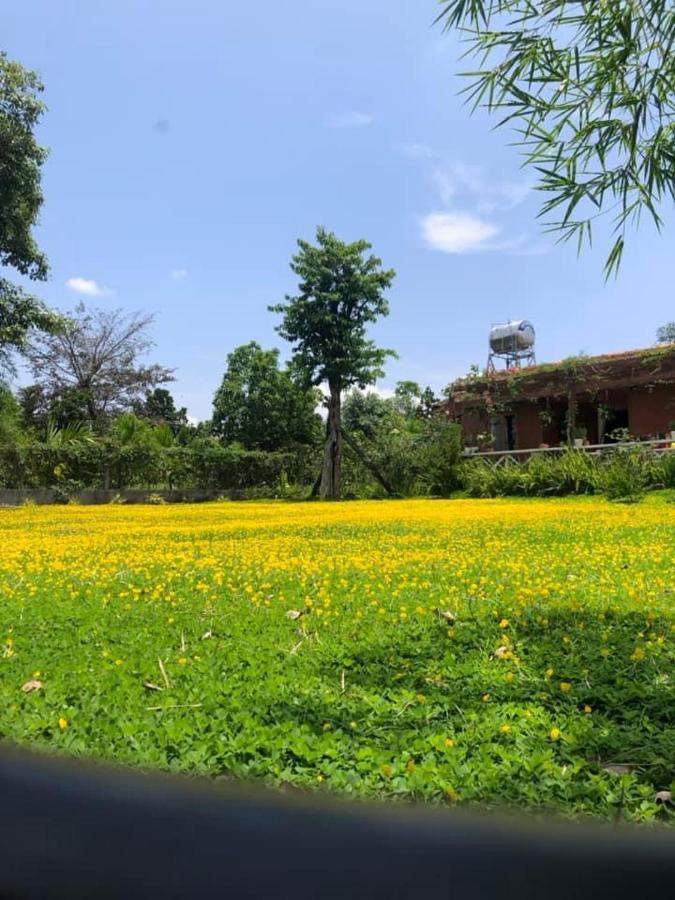 Dugiang Homestay Буон Ма Туот Екстериор снимка