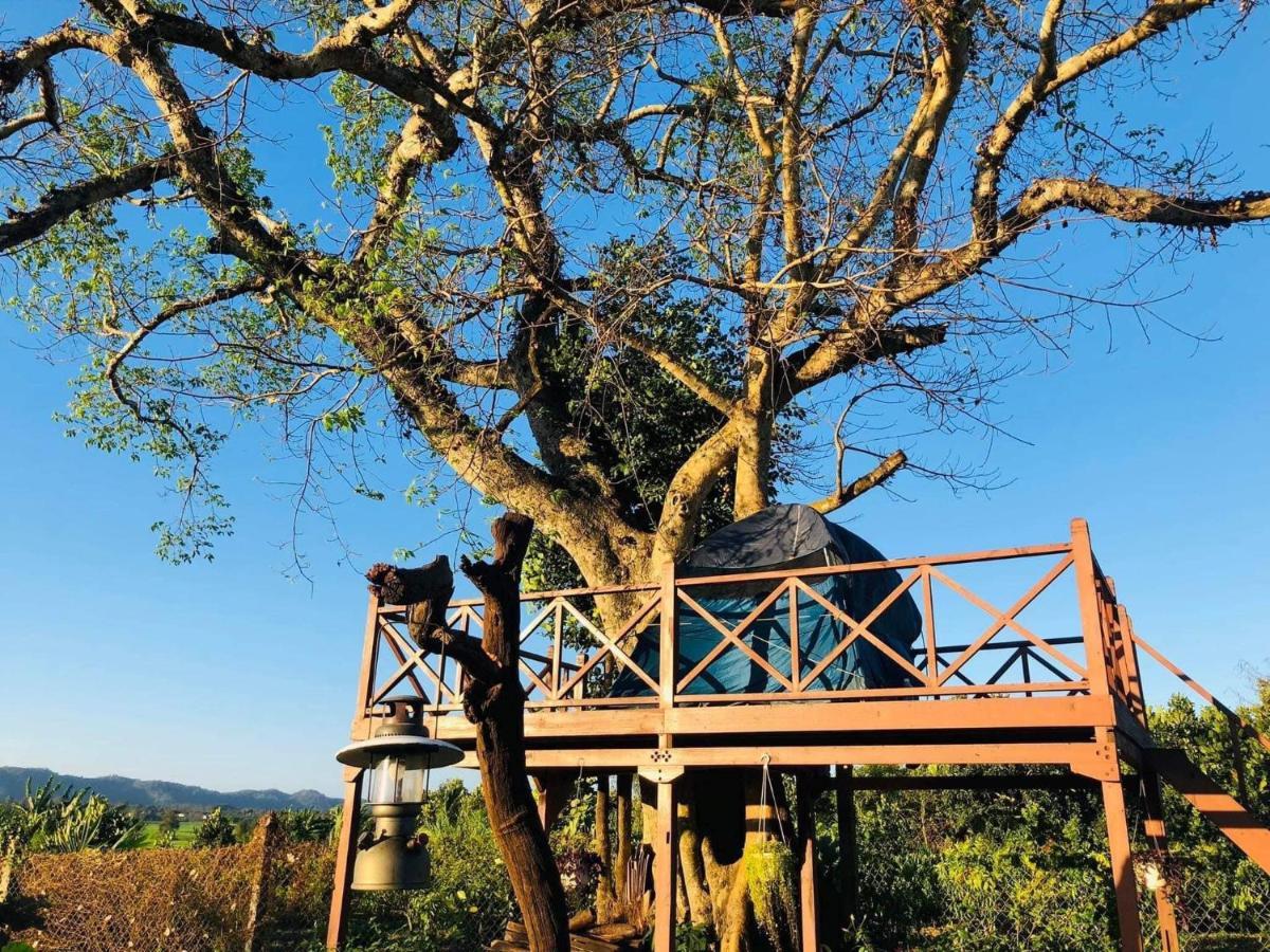 Dugiang Homestay Буон Ма Туот Екстериор снимка