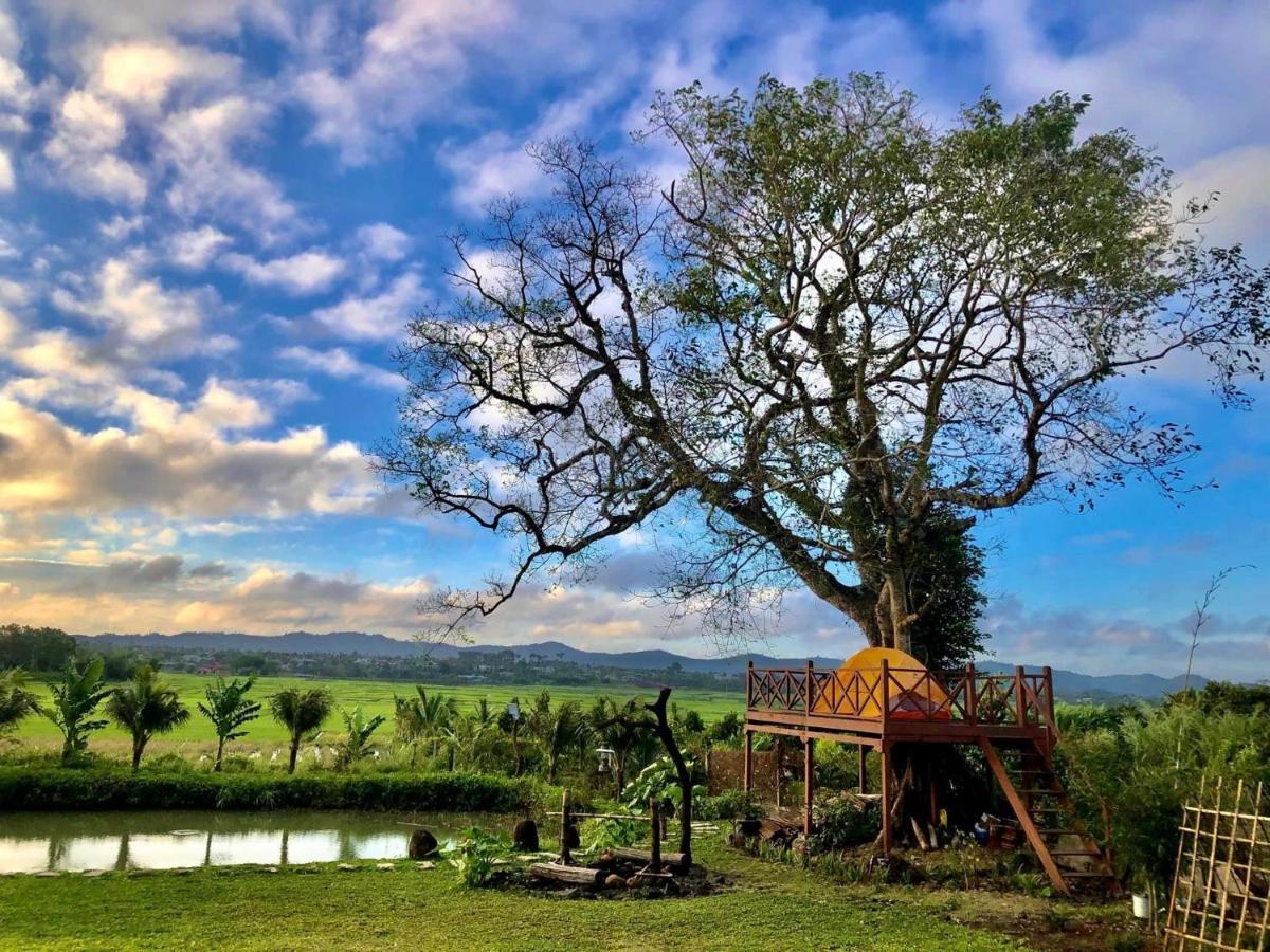 Dugiang Homestay Буон Ма Туот Екстериор снимка