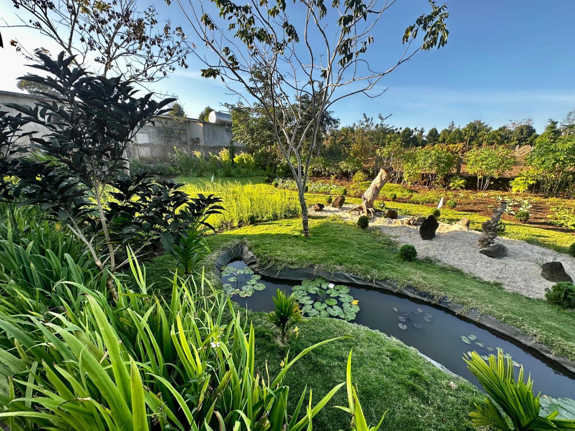 Dugiang Homestay Буон Ма Туот Екстериор снимка